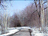 [ hiking trail near my home ]