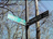 [ maybe someday famous street signs ]