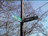 [ maybe someday famous street signs ]