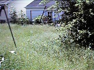 [ out standing in my field... ]